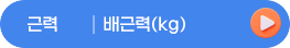 근력배근력