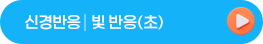 신경반응빛반응(초)